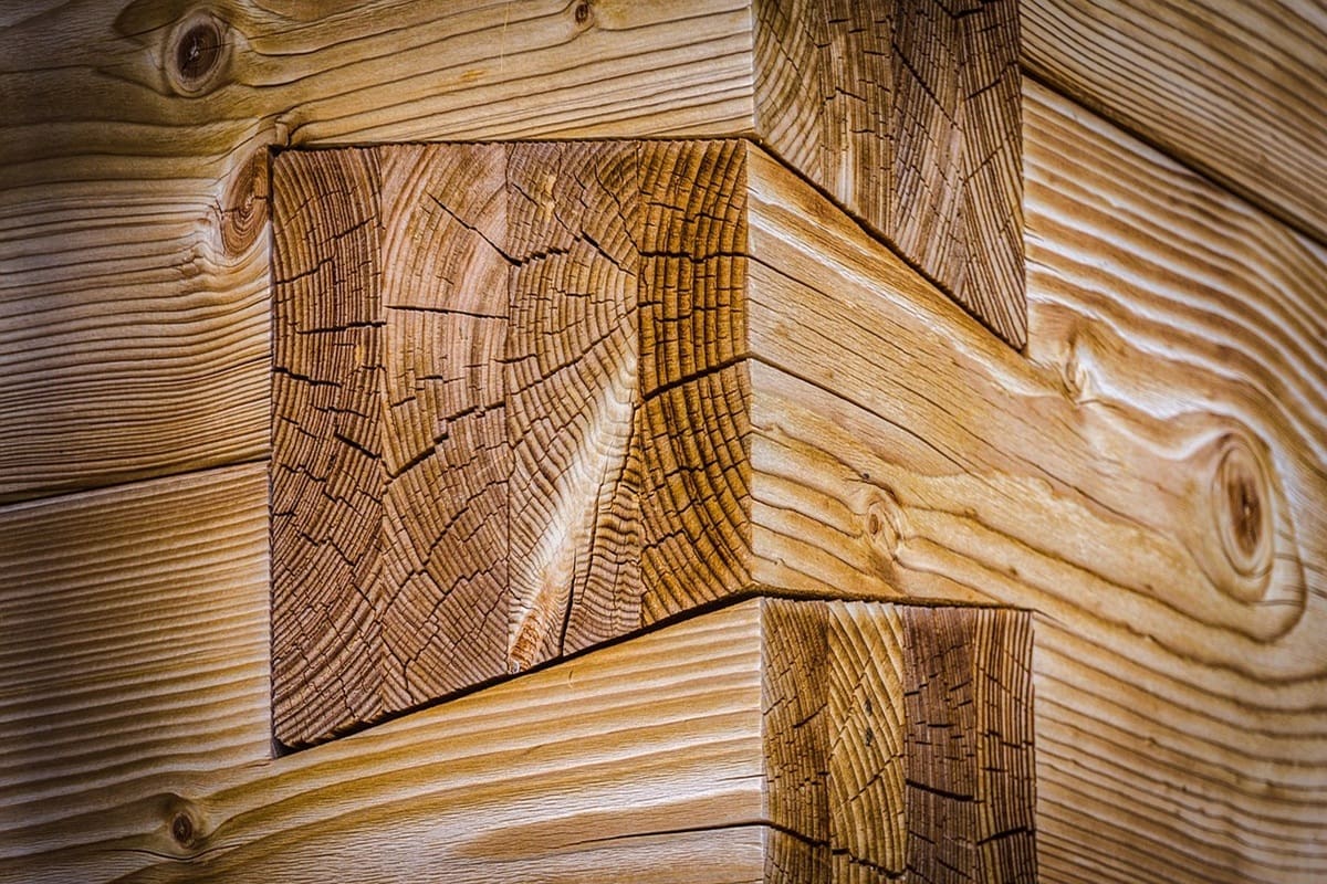 Interconnected Timber Joints